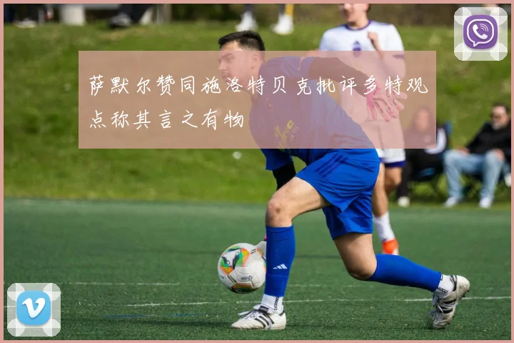 萨默尔赞同施洛特贝克批评多特观点称其言之有物