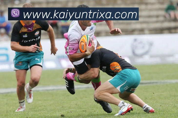 开云体育APP 高清赛事图